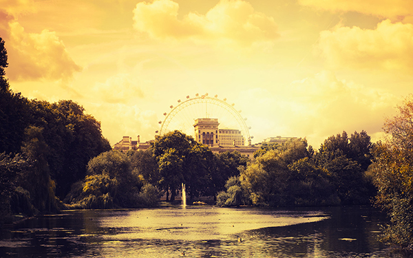 冻成狗的你，是否思念那美不胜收的秋？