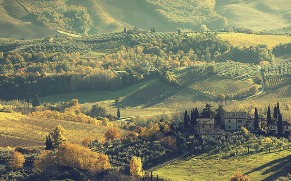 冻成狗的你，是否思念那美不胜收的秋？