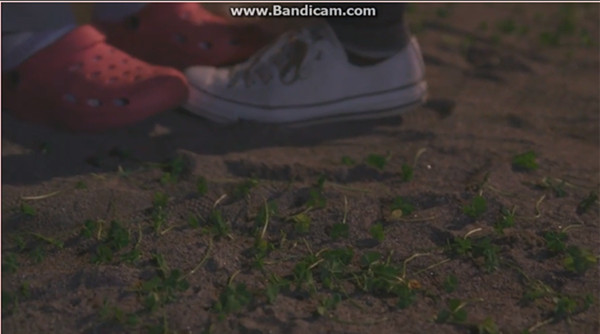 要不是女主长了个马头，这部剧一定没人看得下去