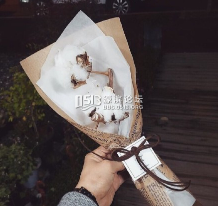 棉花手捧花