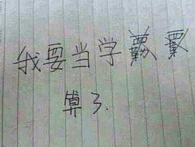 澎湃联播|关于验证码，你们都错怪了12306