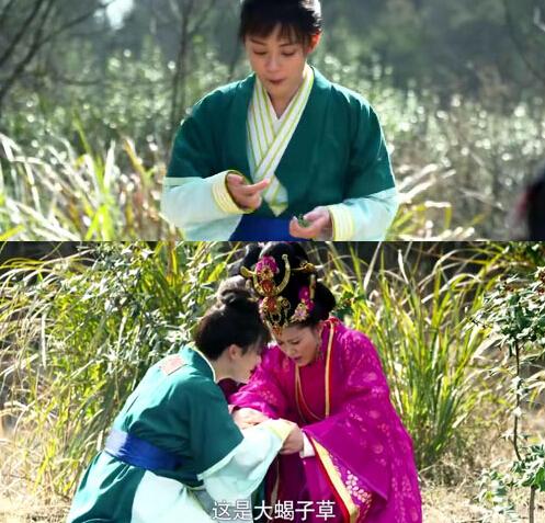 还要不要追年度巨制（糙）《芈月传》？