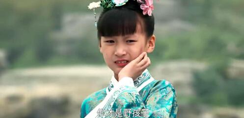 还要不要追年度巨制（糙）《芈月传》？