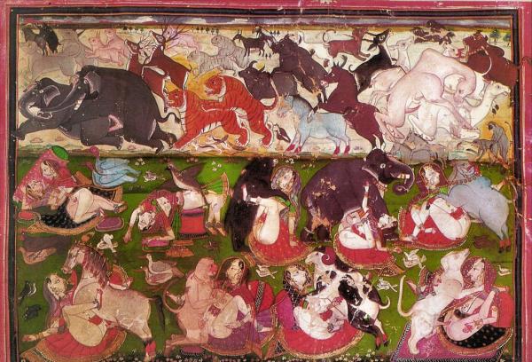 爱上一匹野马，算不算是违法