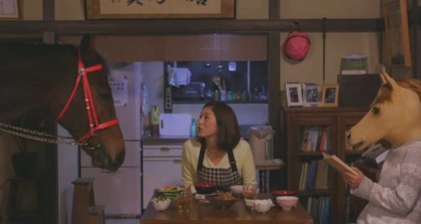 爱上一匹野马，算不算是违法