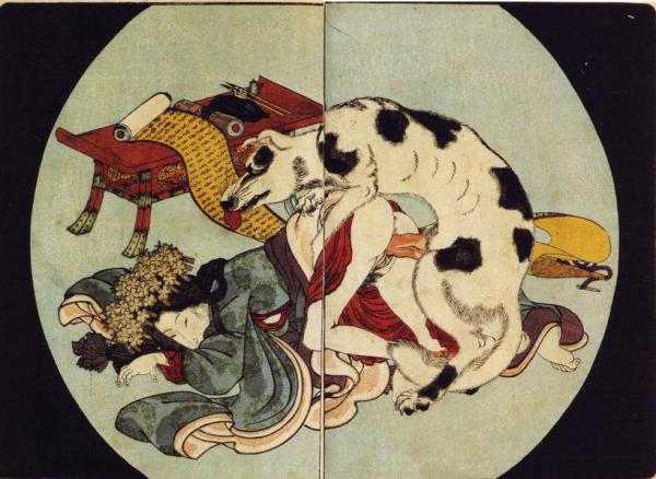 爱上一匹野马，算不算是违法