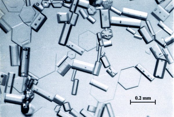 物理学家教你雪景的正确打开方式——比你看到的美多了！