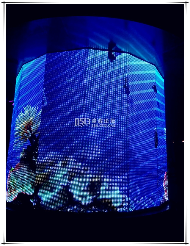 新建文件夹 (4)IMG_20151202_175335_副本.jpg