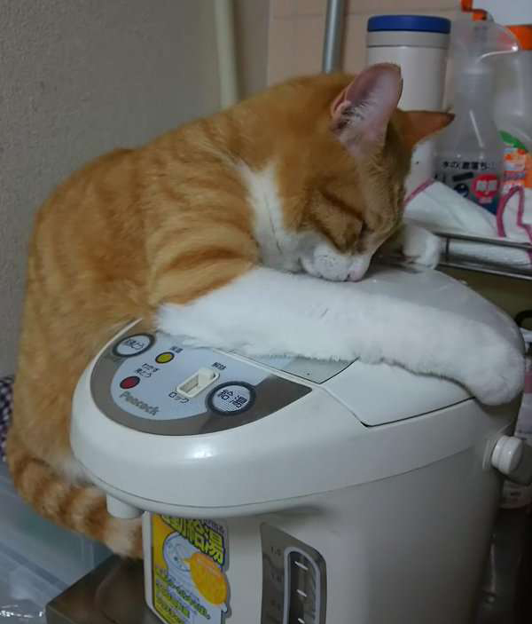 读图|冬天，就是要这样不顾世俗的眼光取暖