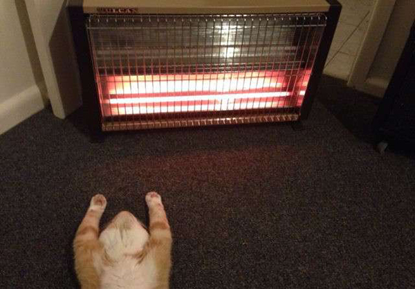 读图|冬天，就是要这样不顾世俗的眼光取暖