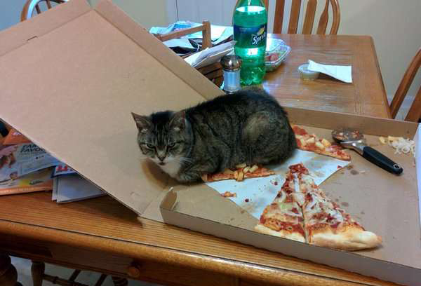 读图|冬天，就是要这样不顾世俗的眼光取暖