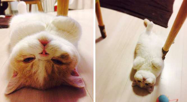 读图|冬天，就是要这样不顾世俗的眼光取暖