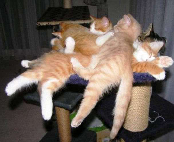 读图|冬天，就是要这样不顾世俗的眼光取暖