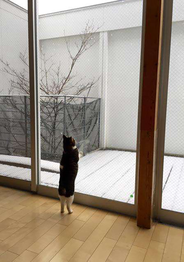 读图|冬天，就是要这样不顾世俗的眼光取暖