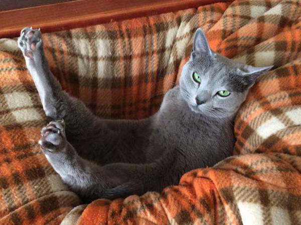 读图|冬天，就是要这样不顾世俗的眼光取暖