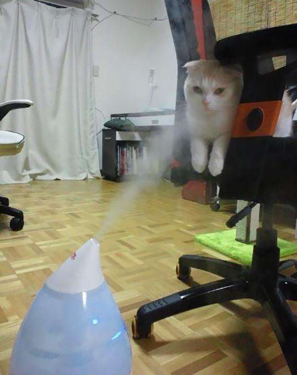 读图|冬天，就是要这样不顾世俗的眼光取暖