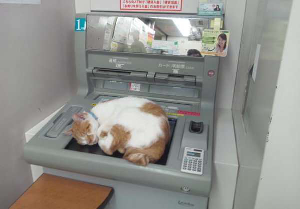 读图|冬天，就是要这样不顾世俗的眼光取暖