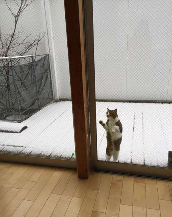 读图|冬天，就是要这样不顾世俗的眼光取暖