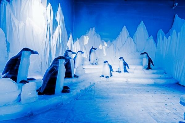 即将到来的圣诞和周末，还能带着孩子去哪儿玩？