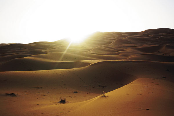 撒哈拉沙漠之旅