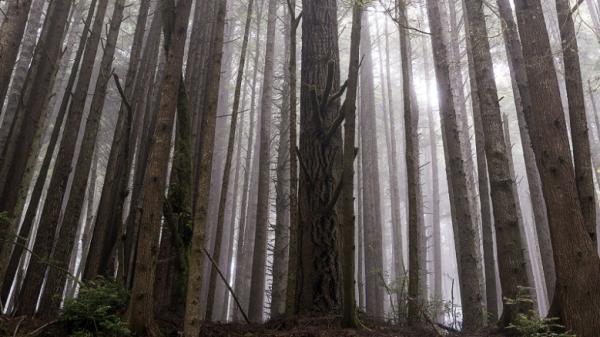 前方高能！17个《星球大战》拍摄地原来是真实存在的