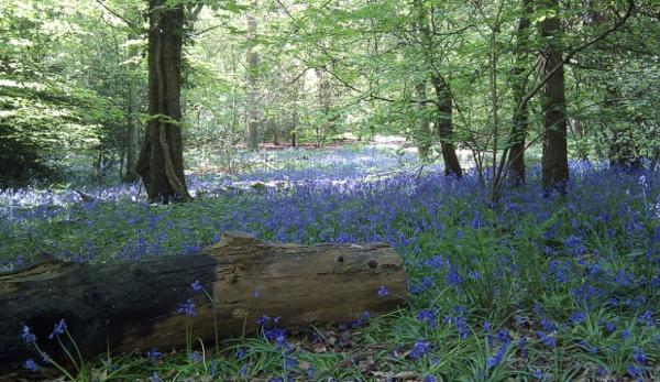 前方高能！17个《星球大战》拍摄地原来是真实存在的