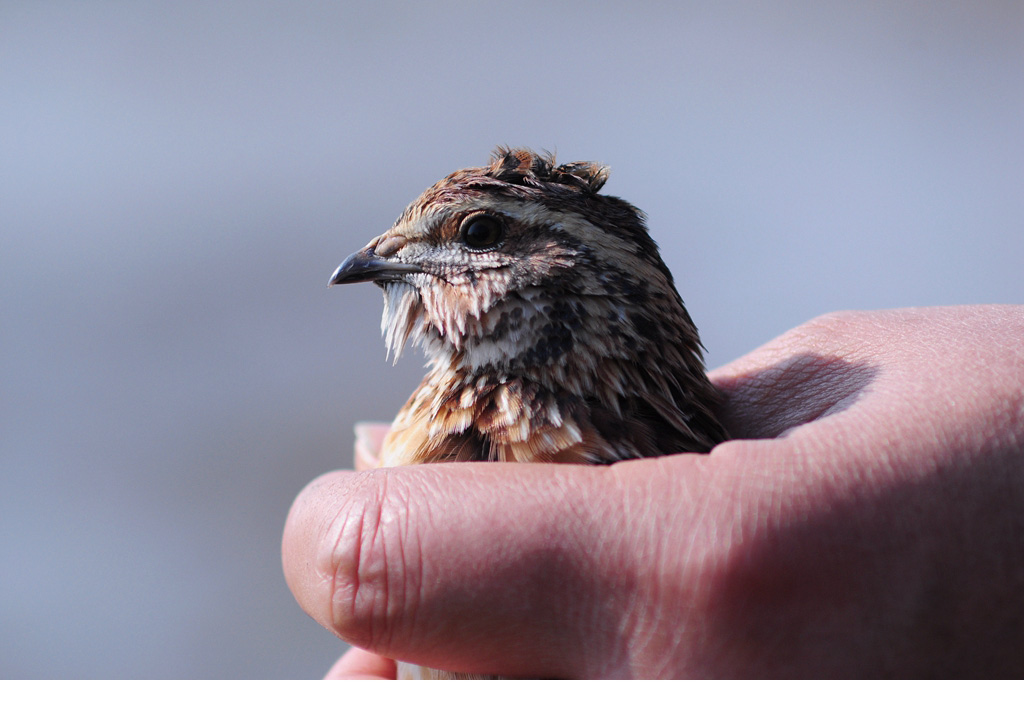 DSC_0114_副本 副本.jpg