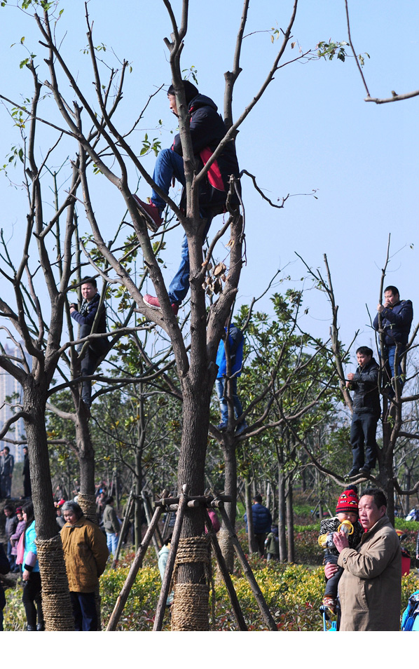 DSC_0118_副本 副本.jpg