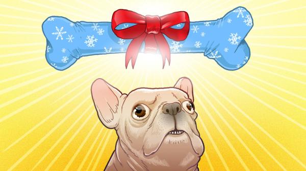 高科技打造的7款爱宠玩具，只为让你家“主子”乐一乐