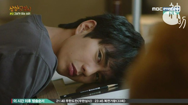 冬天这么冷，来一只猫吧