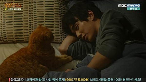 冬天这么冷，来一只猫吧