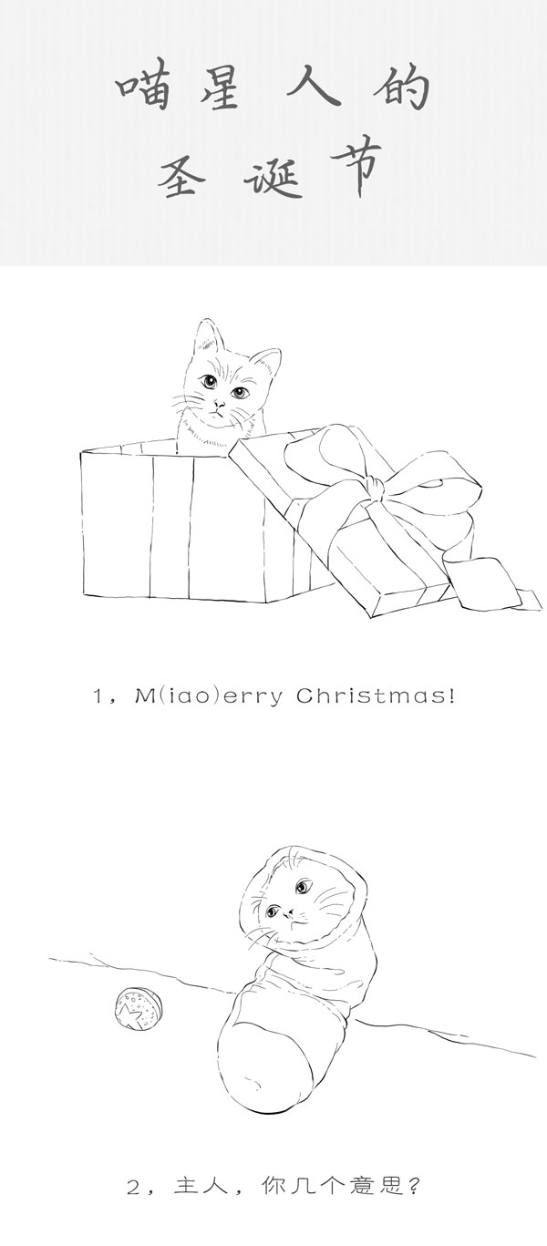 TooNews | 喵星人的圣诞节