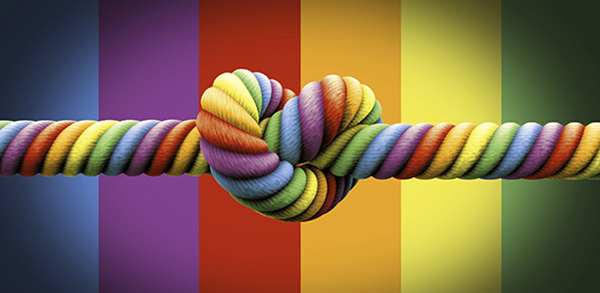 2015的那些重要瞬间︱我在威斯康星见证平权之路