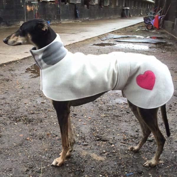 当你担心狗狗冬天会冷的时候，她已经给狗织了300件毛衣了