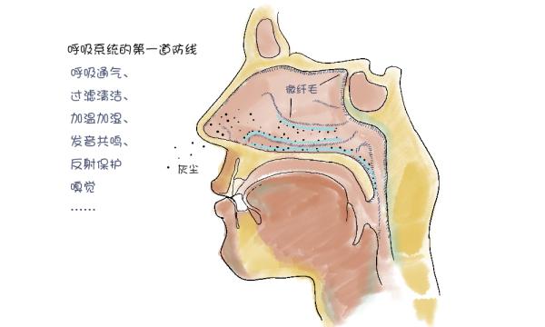 【问答】PM2.5对鼻子有什么影响？
