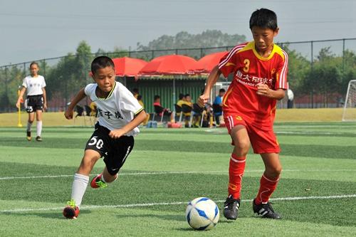 足球改革要过坎：“扶上马送一程”，地方足协问马在哪呢