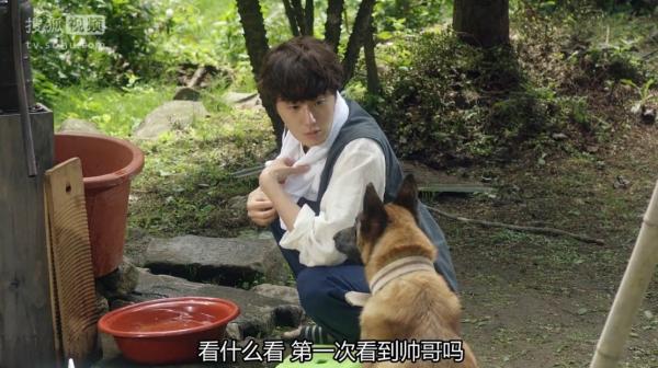 霸道总裁一谈恋爱，就变成了表情包