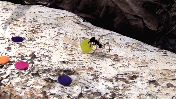 看展览|当代艺术知多少，MoMA“新文物景观”为你解读