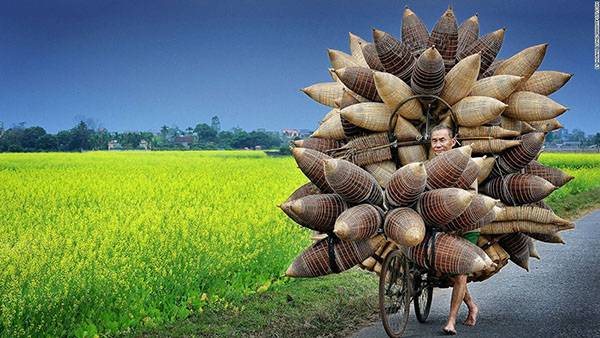 2015年最美的旅行照片都在这儿了!