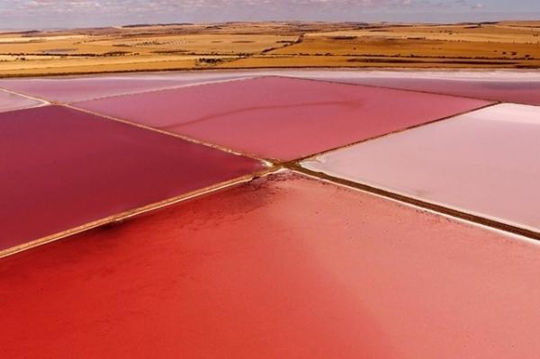 从云端俯瞰海景是怎样一种体验？无人机摄影告诉你答案