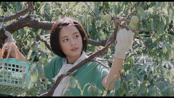 《海街日记》：是枝裕和的旧人旧事