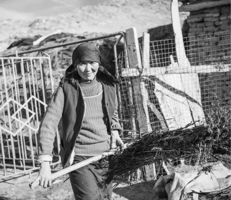 赛里木湖畔的母亲