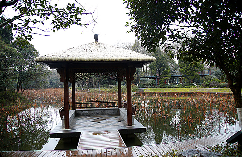 _MG_5511_副本 - 副本.jpg