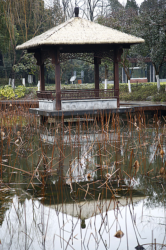 _MG_5512_副本 - 副本.jpg