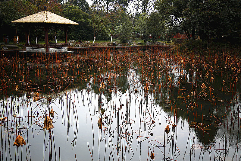 _MG_5510_副本 - 副本.jpg