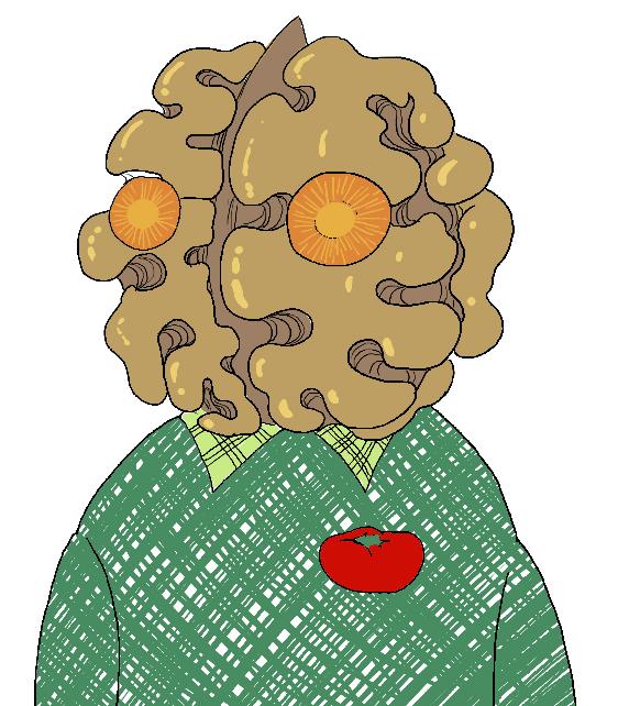 【问答】核桃真的可以补脑吗？