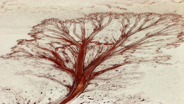 断片| 《人类》：宏大命题之下的细密感动，何以为人