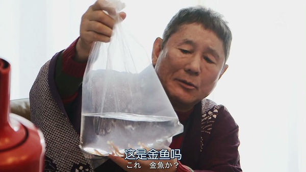 《红鳉鱼》：明明可以靠脸吃饭，却偏要做一个段子手