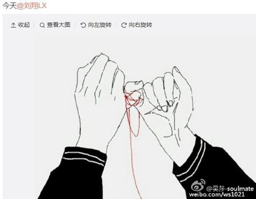 吴莎用相同照片回应刘翔两人间恋情似已经确定