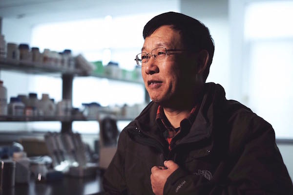 特稿｜86岁的“杂交水稻之父”袁隆平和他的超级稻